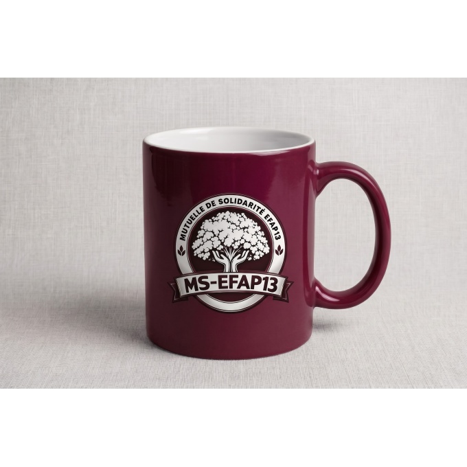 tasse_efap2013_02