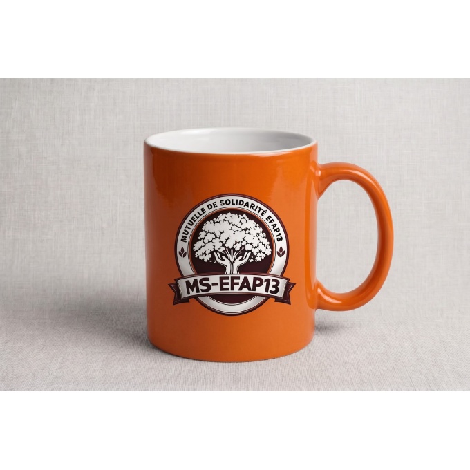 tasse_efap2013_07