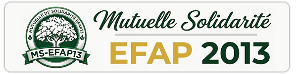Mutuelle Solidarité EFAP 2013